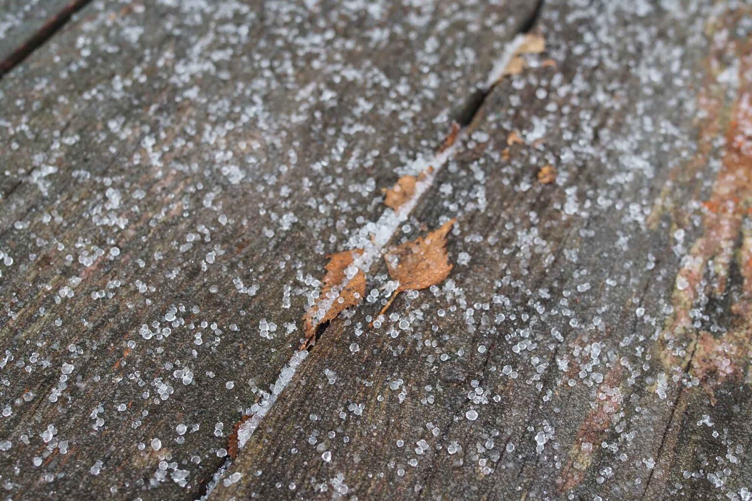 What Is Sleet