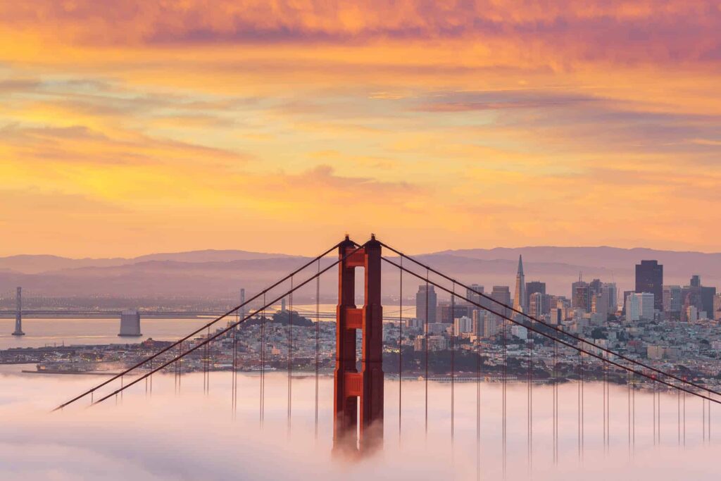 cloud types fog
