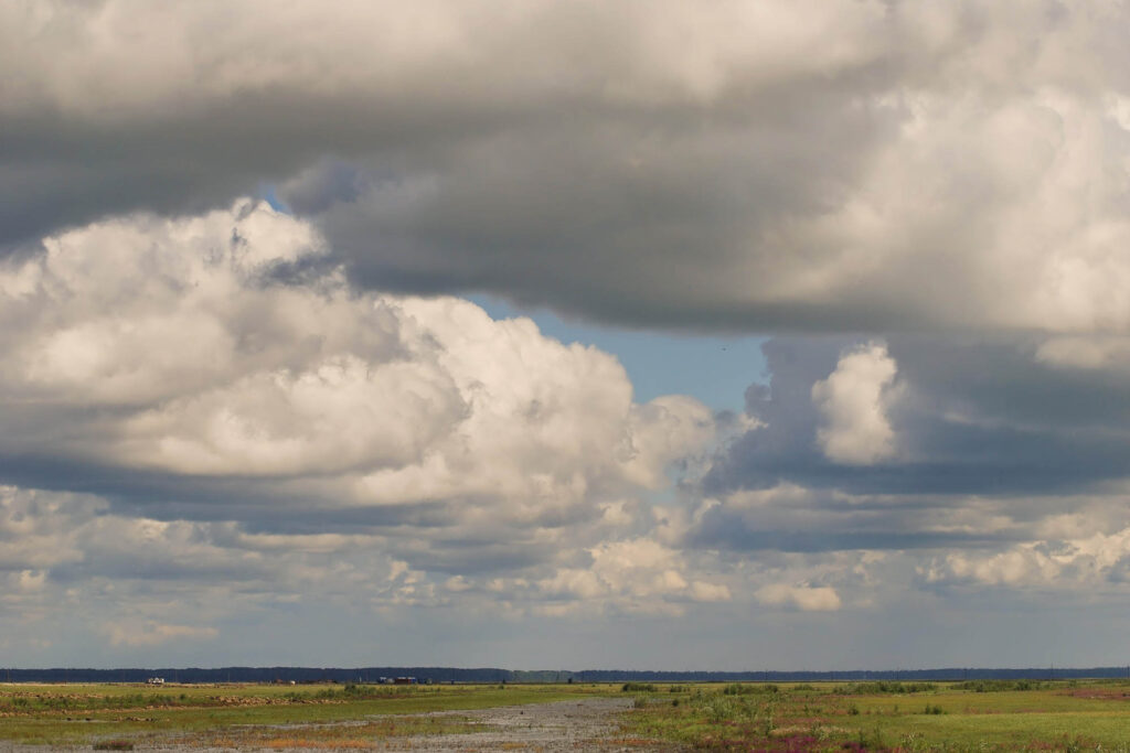 cloud types stratocumulus