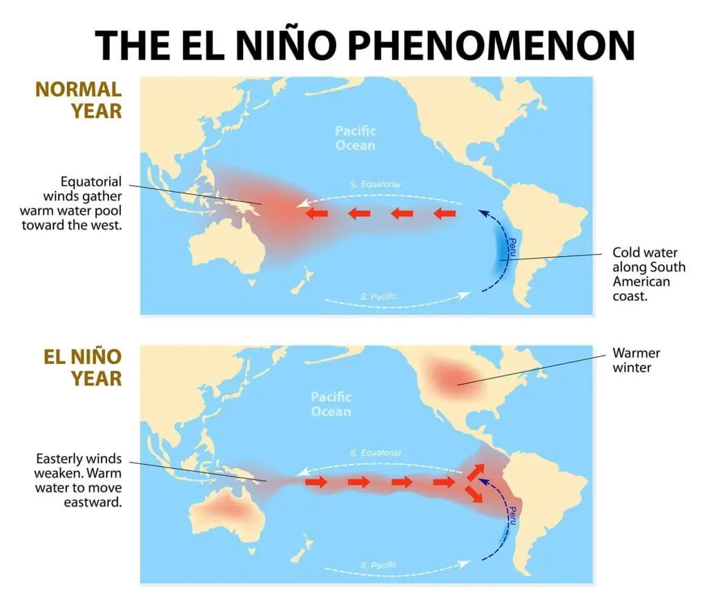 vad är el nino? Den här bilden visar grafiskt hur El Nino bildas. 