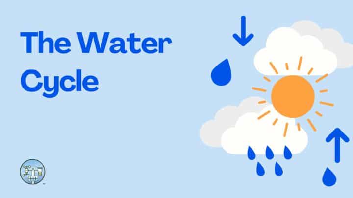 Diagram of the water cycle with rain and sun.